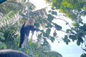 Canal de Panamá: Tour Privado en barco y vida silvestre en el lago Gatún