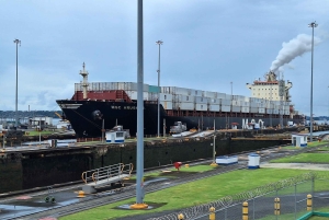 Panama Canal Tour Colón Edition: Agua Clara and Gatún Locks