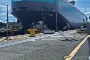 Tour del Canale di Panama: le chiuse di Miraflores e la zona del Canale