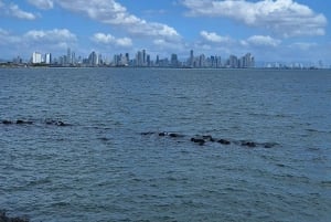 Omvisning i Panamakanalen: Miraflores-slusene og kanalsonen