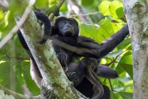 Panama Canal Tour New Locks & Monkey Island