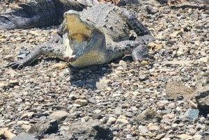 Panama Canal Tour New Locks & Monkey Island