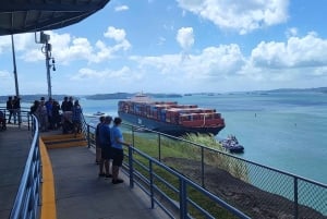 Panama Canal Tour New Locks & Monkey Island