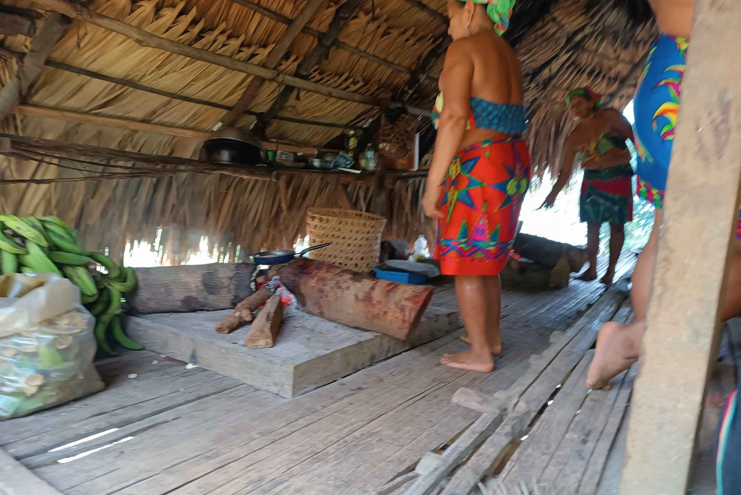 Panama: Chagres National Park & Embera Village Private Tour