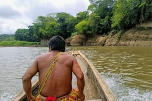 Panama : Parc national de Chagres et visite privée du village d'Embera