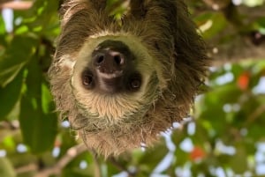 Panama : 1 nuit et 2 jours dans une maison de plage sur une île des Caraïbes