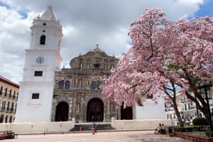 Panama Stad: 5-daags Caribisch avontuur vanaf maandag