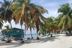 Panama-Stad: 5-daags Caribisch avontuur vanaf dinsdag