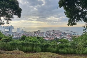 Panama stad: Guidad vandring till Ancon Hill och Metropolitan Park