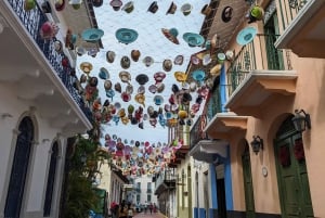 Ciudad de Panamá: Visita al Canal, Casco Antiguo y Calzada de Amador