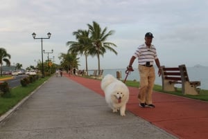 Panama City: Omvisning i kanalen, gamlebyen og Amador Causeway