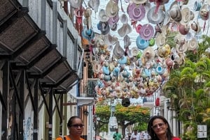 Panama stad: Tur till kanalen, Gamla stan och Amador Causeway