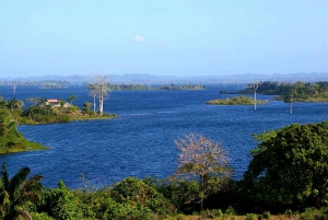 Panama City: Canal Railway & Gatun Locks Half-Day Tour