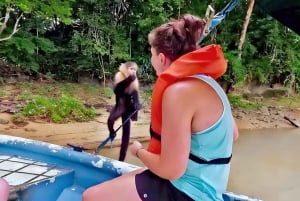 Tour del canale di Panama City: Safari della fauna selvatica di Monkey Island