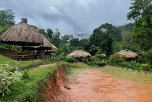 Cidade do Panamá: Visita à aldeia indígena Embera, cascata e almoço