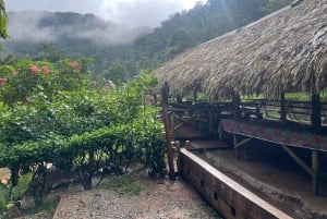 Cidade do Panamá: Visita à aldeia indígena Embera, cascata e almoço