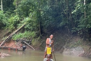 Cidade do Panamá: Visita à aldeia indígena Embera, cascata e almoço