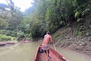 Cidade do Panamá: Visita à aldeia indígena Embera, cascata e almoço