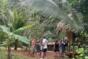 Cidade do Panamá: Visita à aldeia indígena Embera, cascata e almoço