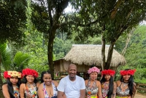 Cidade do Panamá: Visita à aldeia indígena Embera, cascata e almoço