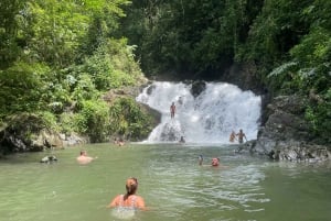 Cidade do Panamá: Visita à aldeia indígena Embera, cascata e almoço