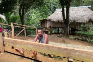 Cidade do Panamá: Visita à aldeia indígena Embera, cascata e almoço