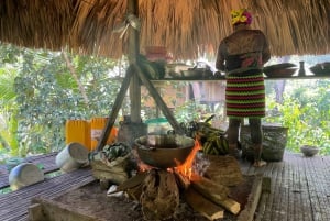 Cidade do Panamá: Visita à aldeia indígena Embera, cascata e almoço