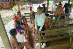 Cidade do Panamá: Visita à aldeia indígena Embera, cascata e almoço