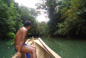 Panama City: Embera Indigenous Village Experience