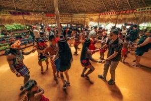 Panama City: Embera Indigenous Village & Waterfall Tour