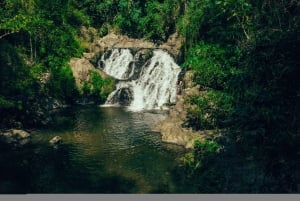 Panama City: Embera Indigenous Village & Waterfall Tour