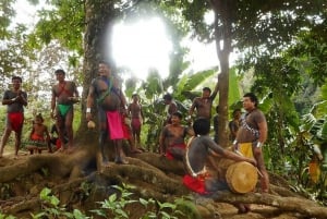 Panama City : Visite du village d'Embera