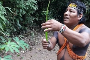 Panama Stad: Embera-dorp dagtour