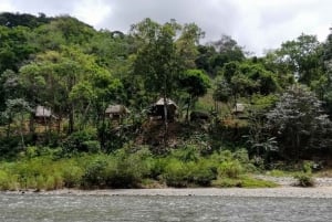 Panama City : Visite du village d'Embera