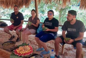 Ciudad de Panamá: Excursión de un día con almuerzo al Pueblo Embera y las Cataratas del Mono