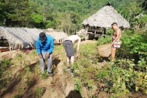 Panama City: Tur til landsbyen Emberá med overnatning