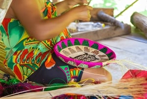 Panama City : Visite du village d'Embera, chute d'eau et déjeuner