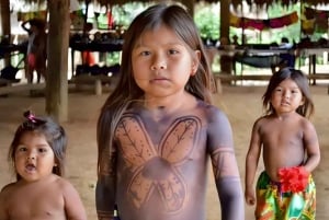 Panama City: Utflukt til landsbyen Embera og regnskogen med fossefall