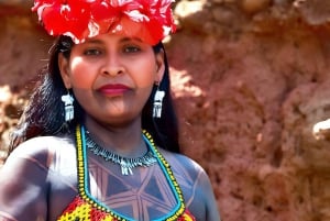 Panama City: Tour del villaggio Embera e della foresta pluviale con cascata