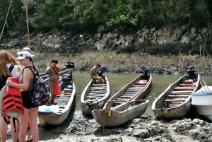 Panama City : Visite du village d'Embera et de la forêt tropicale avec cascades