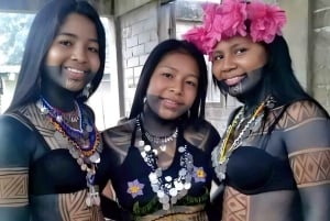 Panama stad: Embera Village och regnskogsutflykt med vattenfall