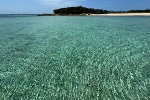 Panama City: Full Day in the Pearl Archipelago