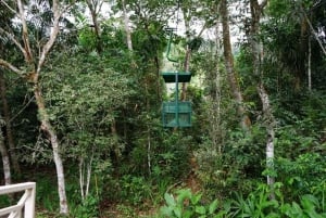 Panama City: Gamboa Aerial Tram & Sloth Sanctuary Tour