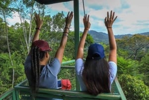 Panama City: Tour del tram aereo di Gamboa e del santuario del bradipo