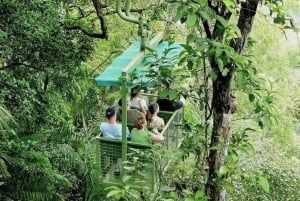 Panama Stadt: Gamboa Aerial Tram & Sloth Sanctuary Tour