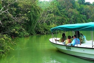 Panama stad: Båttur till Gatun-sjön och Monkey Island