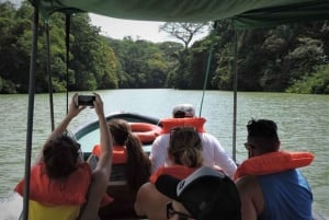 Panama City : Tour en bateau du lac Gatun et de l'île aux singes