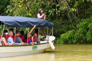 Panama City : Tour en bateau du lac Gatun et de l'île aux singes