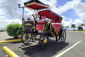 Panama : visite guidée en calèche dans la vieille ville.