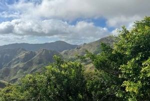 Ciudad de Panamá: Visita guiada de un día